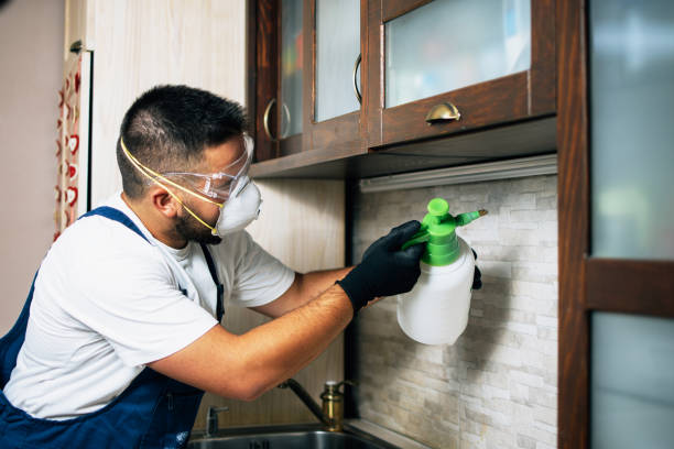 Best Emergency Pest Control  in Stanton, KY
