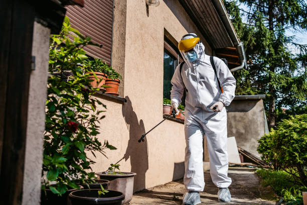 Professional Pest Control in Stanton, KY