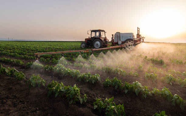 Best Best Pest Control Companies  in Stanton, KY