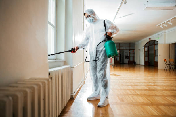 Best Affordable Pest Control Services  in Stanton, KY