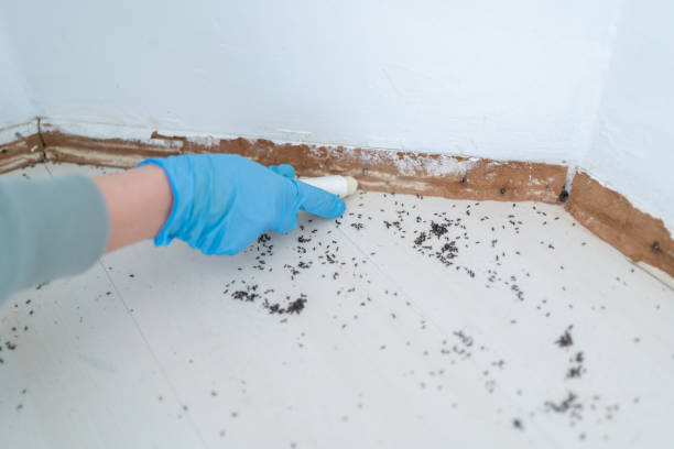 Best Pest Removal Services  in Stanton, KY